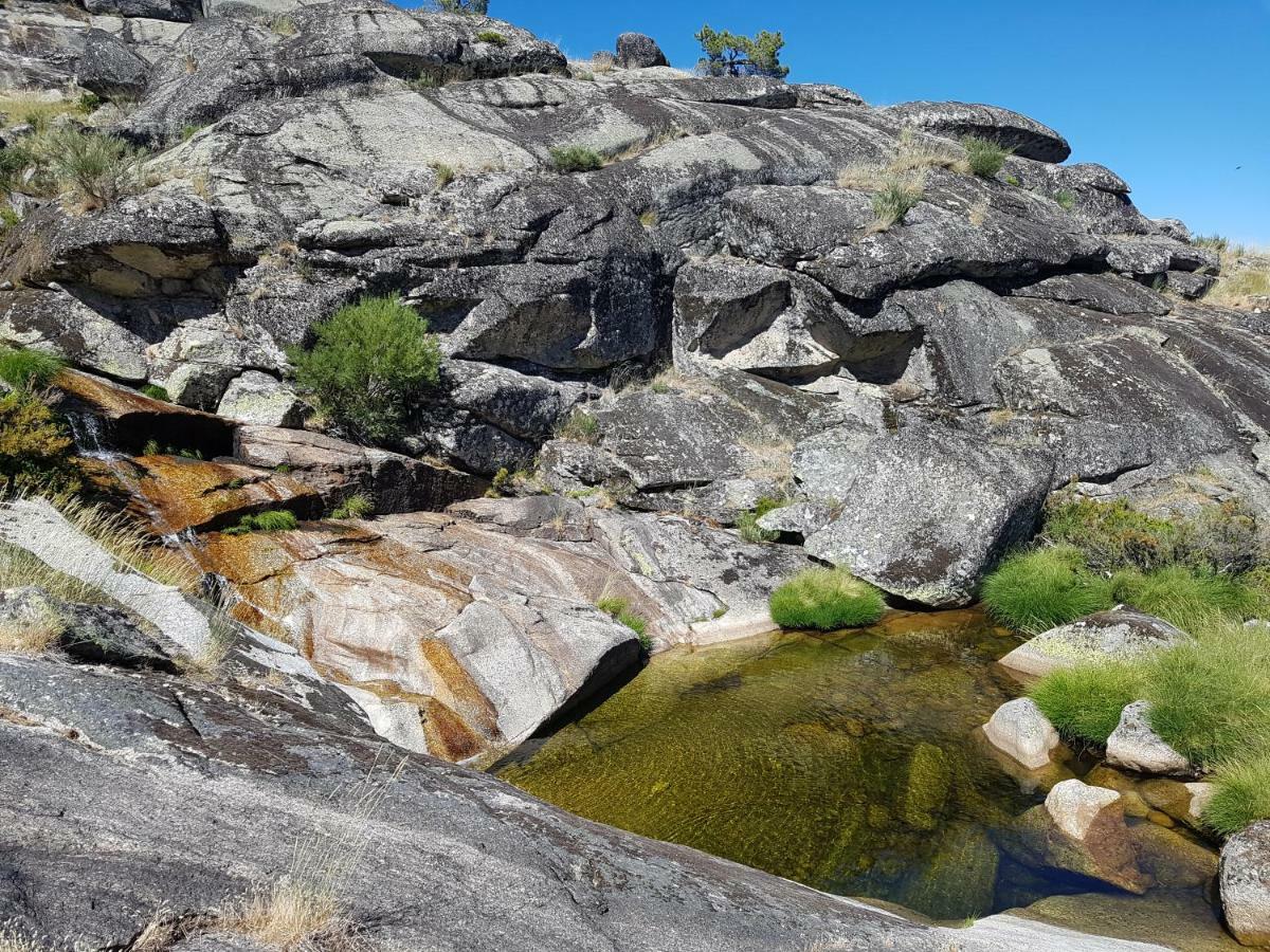 Casa Da Bela Vista - Serra Da Estrela Covilhã Zewnętrze zdjęcie