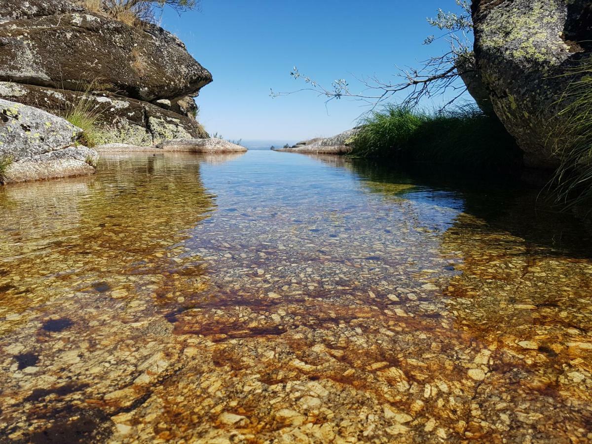 Casa Da Bela Vista - Serra Da Estrela Covilhã Zewnętrze zdjęcie